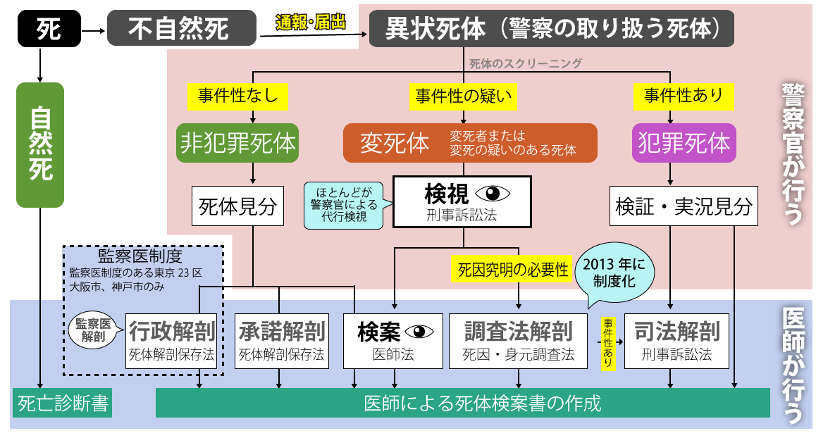 竹内結子らの不自然死が事件にならない理由 本当のことが言えない国