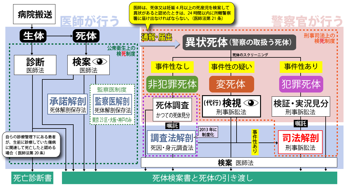 検死制度の全体